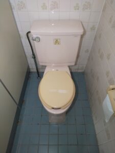 さいたま市見沼区で水の引きが遅くなっていたトイレ詰まり除去前の様子