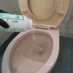 トイレつまり除去の様子