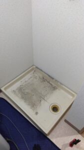 洗濯機を移動して全体が見える状態になった既存の洗濯機パン