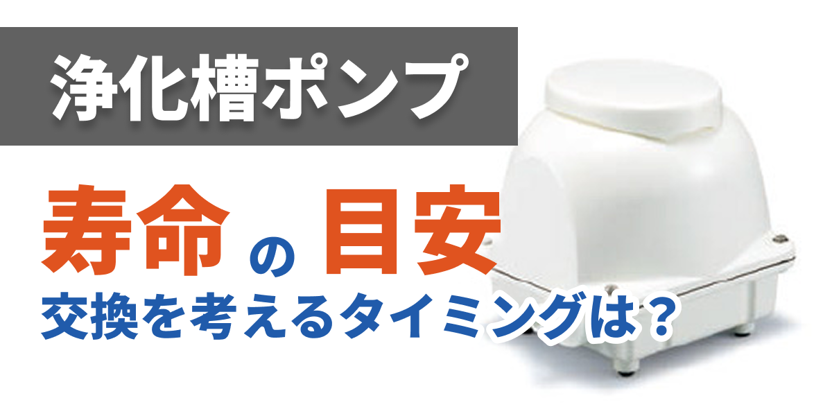 septic-tank-pump-lifespan-replacement-timing_bnr