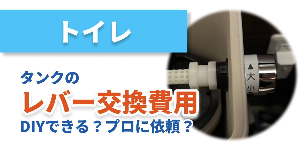 toilet-lever-change_bnr