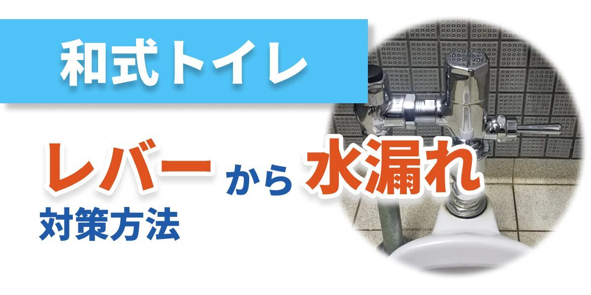 toilet-lever-wleak_bnr