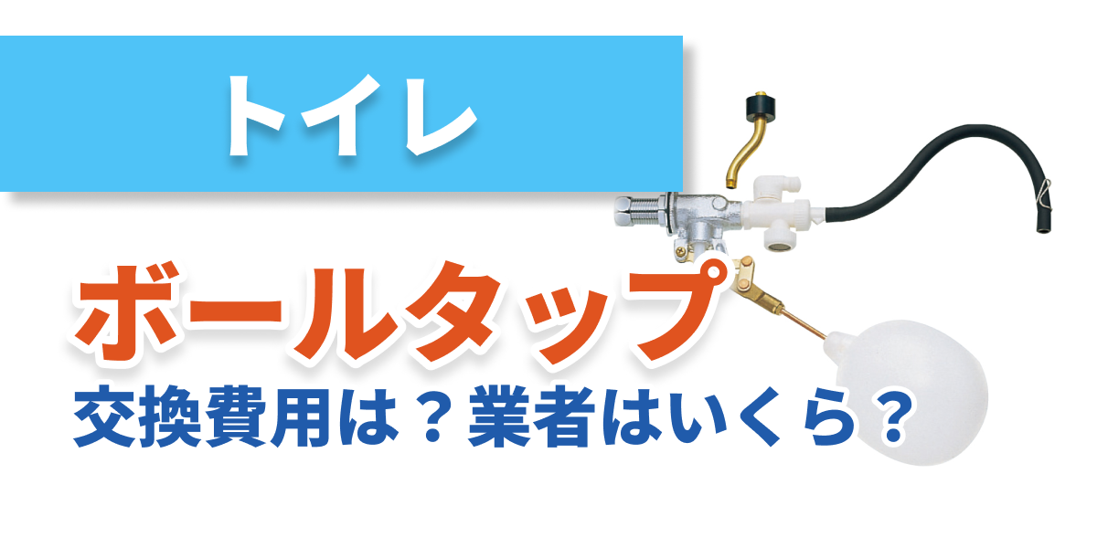 toilet-repair-balltap_bnr