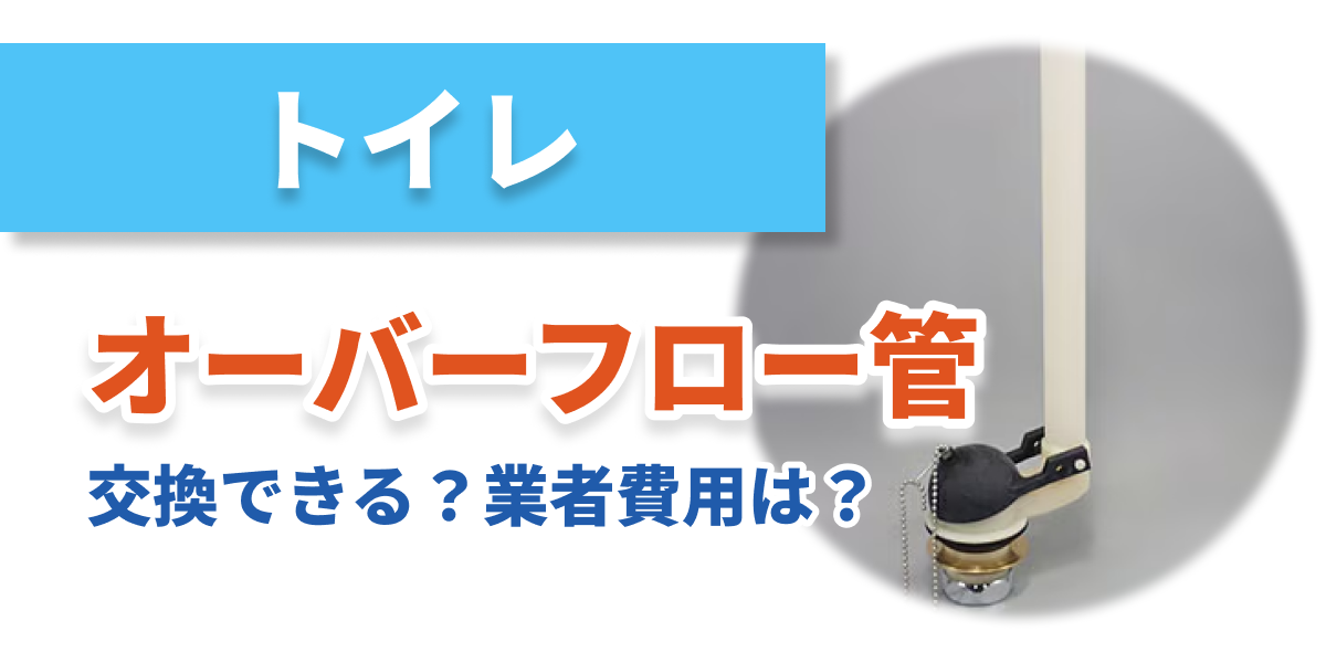 toilet-repair-overflow_bnr