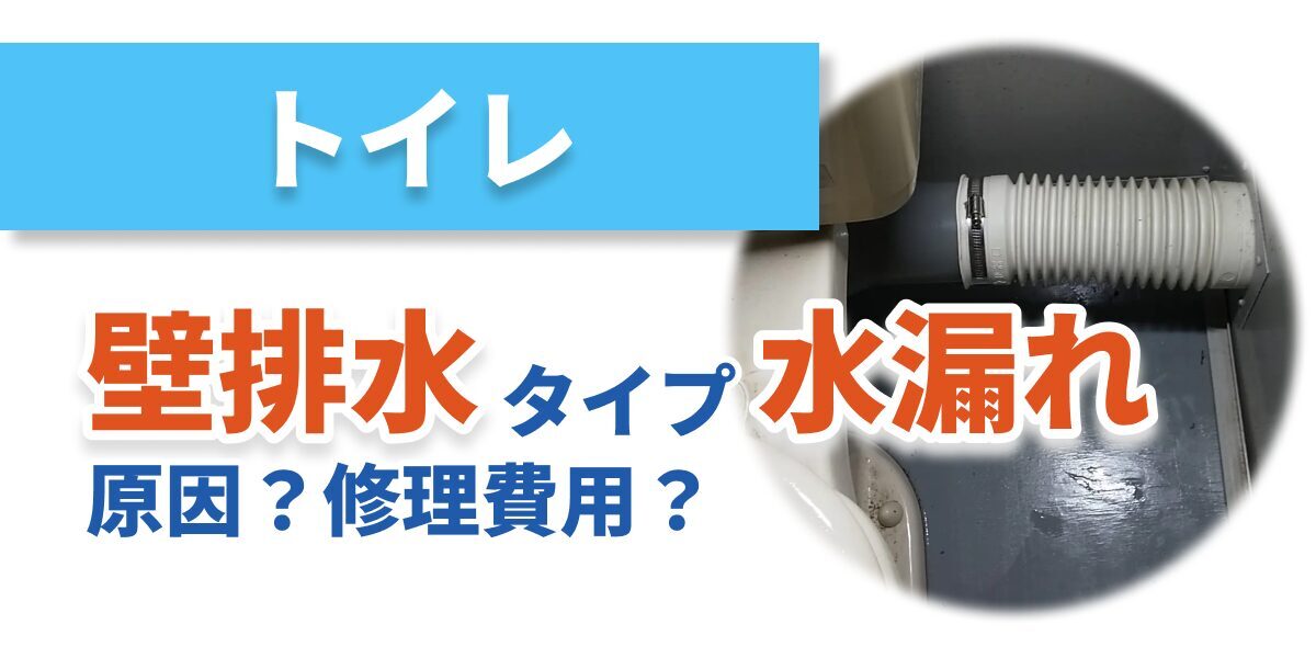 toilet-walldrain-wleak_bnr