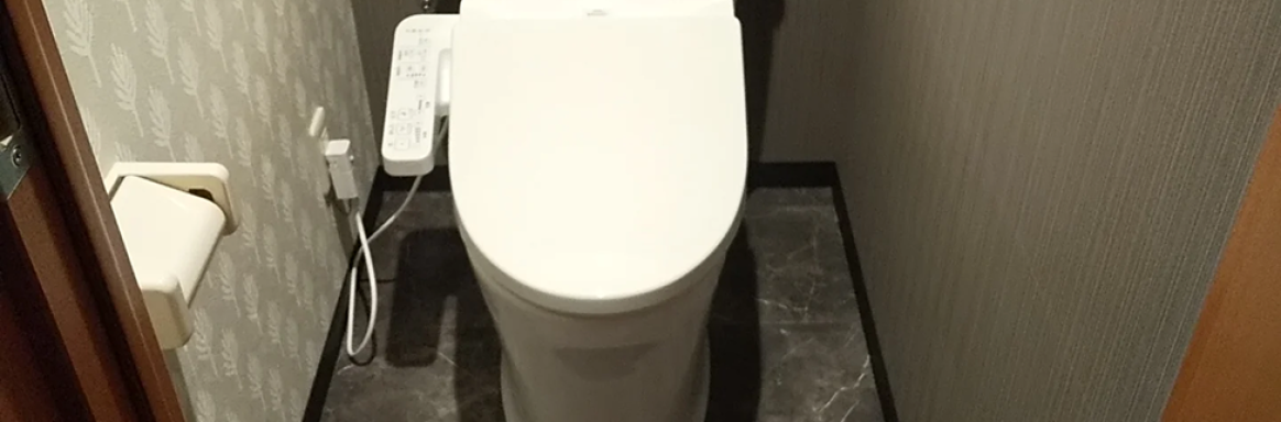 washlet_2